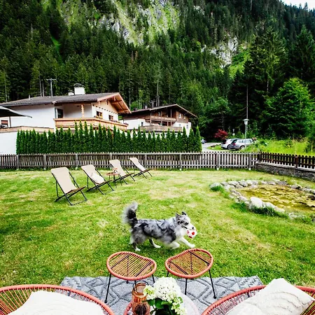 Bed & Breakfast Pinetree 3*