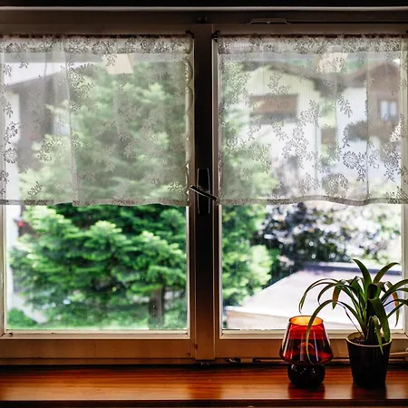 Pinetree B&B