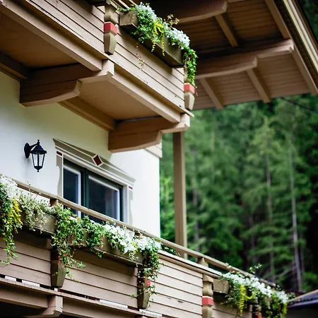 Bed & Breakfast Pinetree 3*