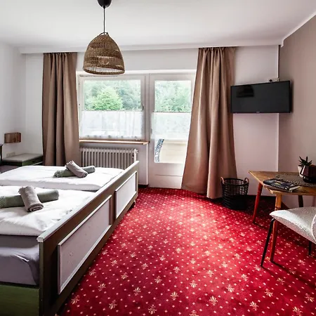 Oda ve Kahvaltı Pinetree Mayrhofen