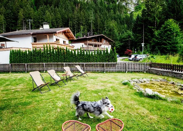 Bed & Breakfast Pinetree 3*